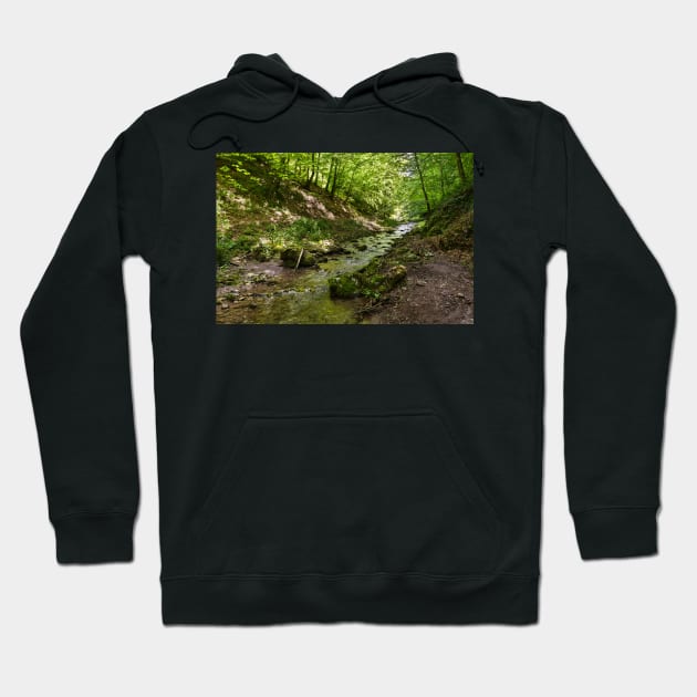 Mountain river flowing through valley Hoodie by naturalis